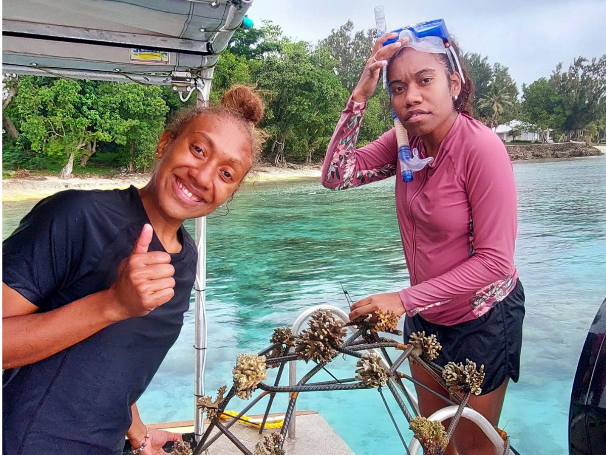 Volunteers attaching coral fragments to a restoration frame