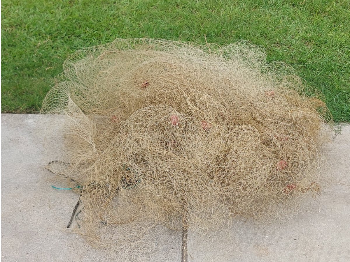 Discarded fishing net removed during marine conservation work