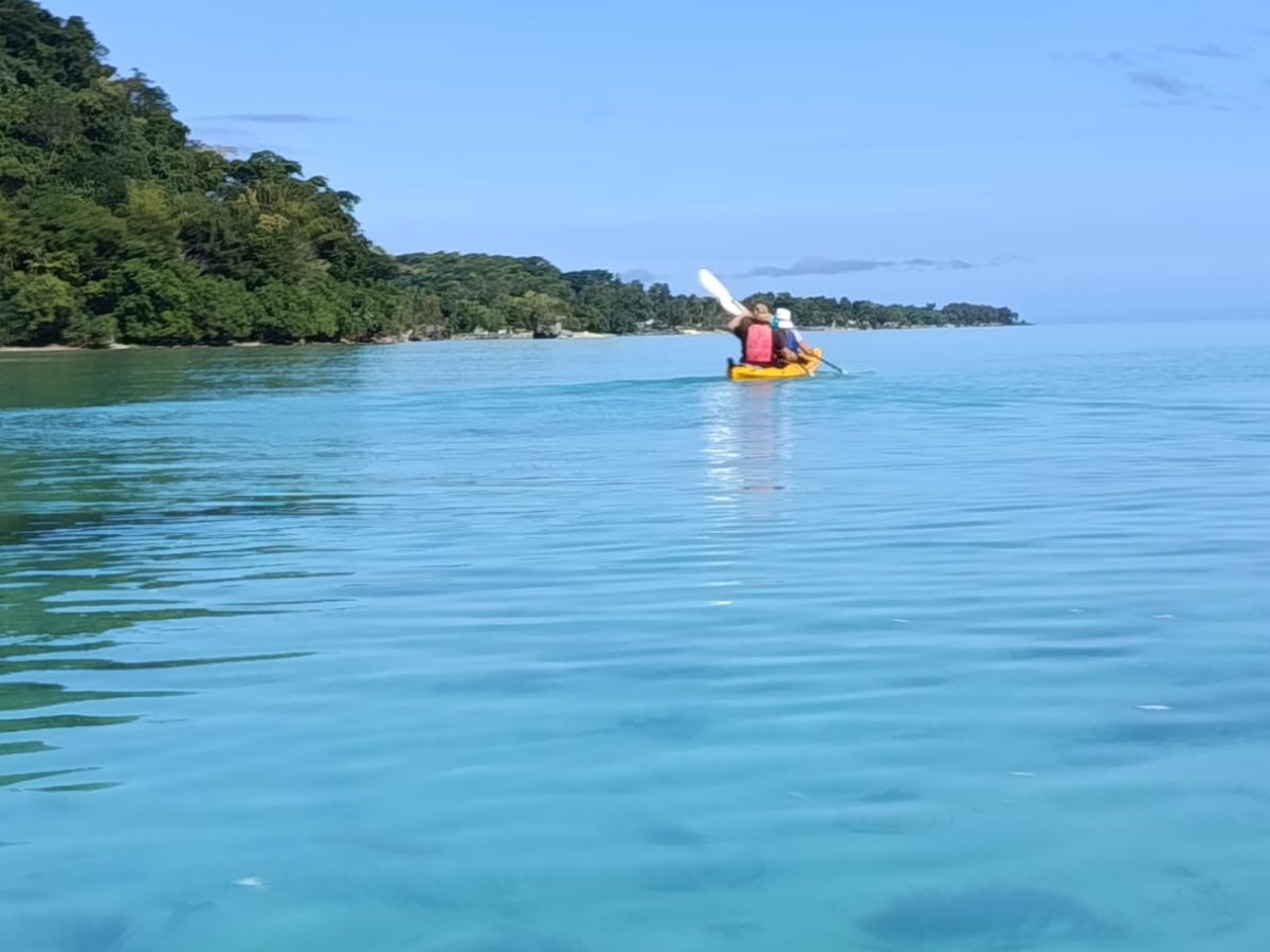 Kayakers paddling along a lush green tropical coastline