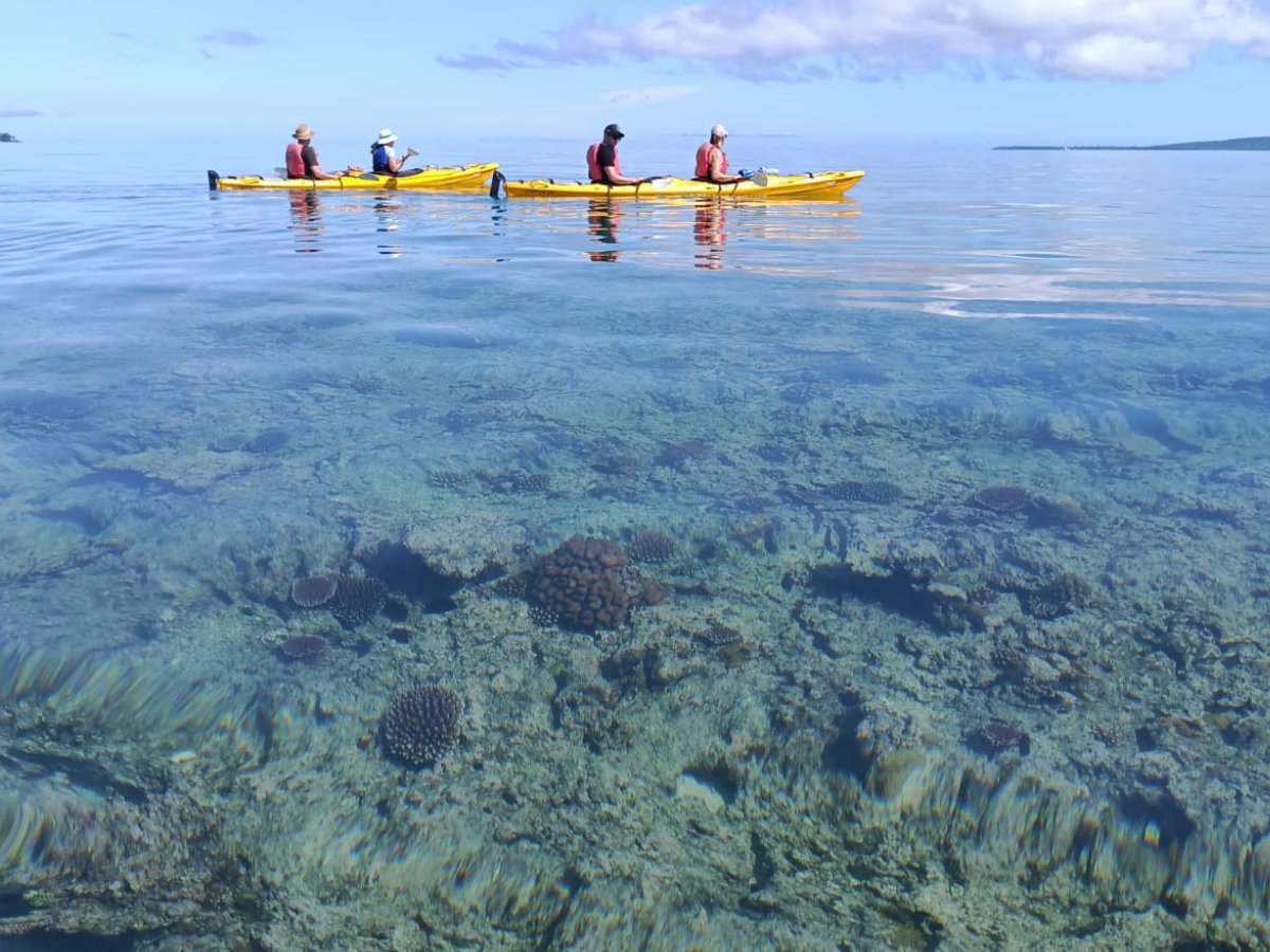 Tandem kayaks paddling over a vibrant coral reef on the Paradise Cove expedition