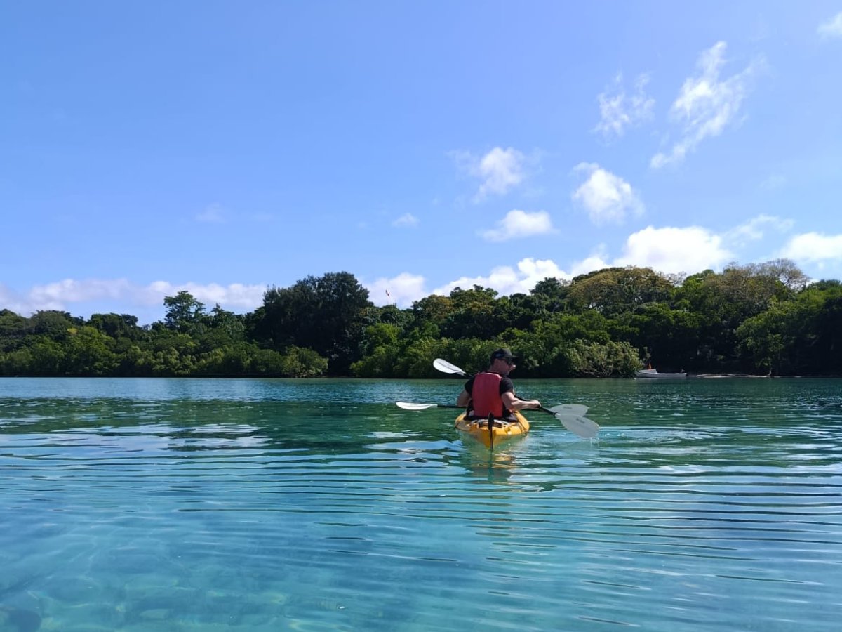 Solo kayaker paddling toward a forested tropical shoreline