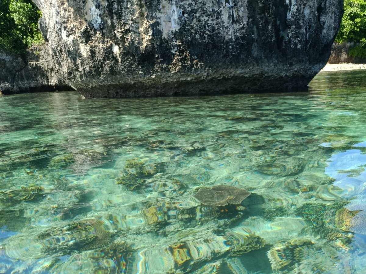 Clear water and limestone coastline along the full-day kayak route to Paradise Cove