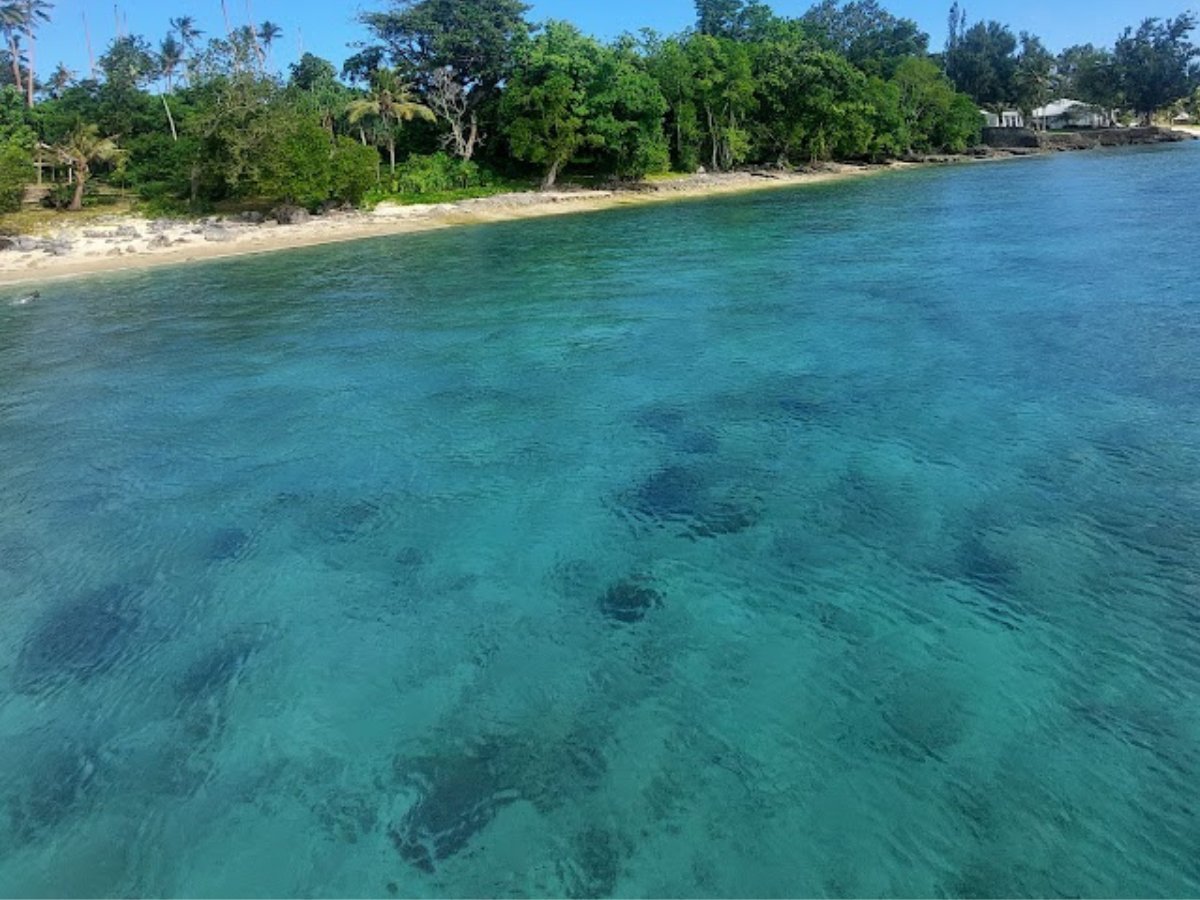 Clear tropical water and palm-lined shoreline near Iririki Island