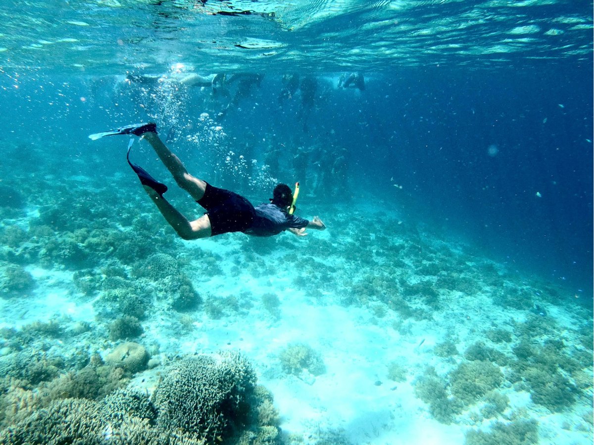Snorkeller exploring coral reef drop-off at Iririki Island