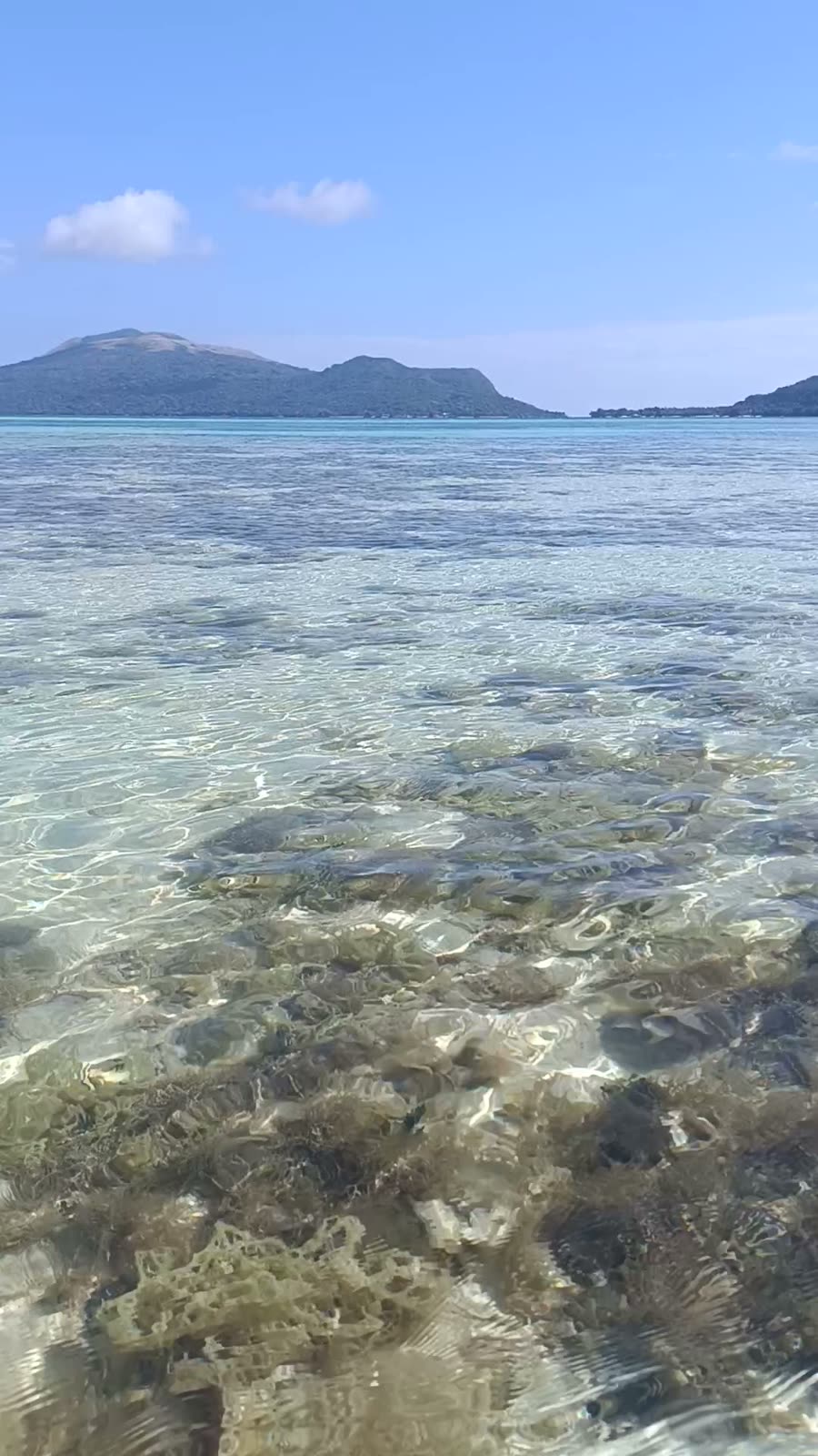 Reef and sand visible through crystal-clear shallows off Kakula