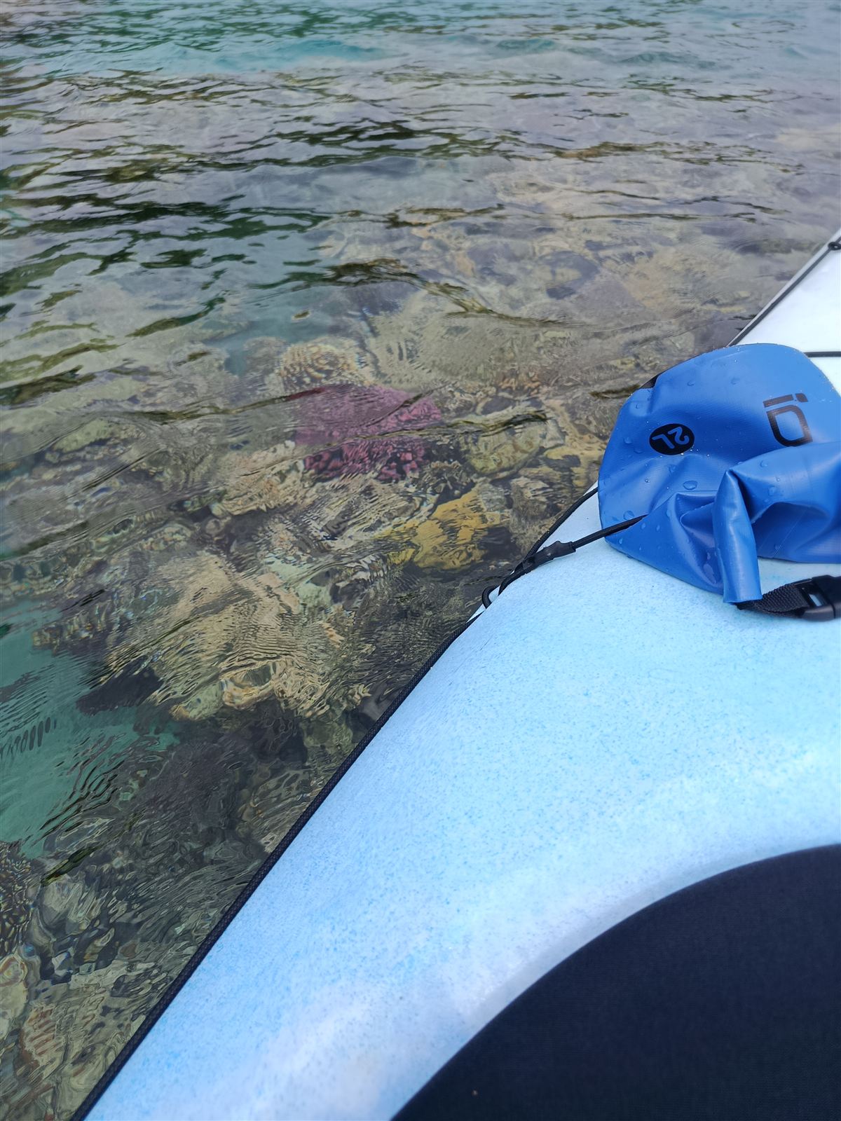 Coral heads visible through clear water beside the kayak in Undine Bay