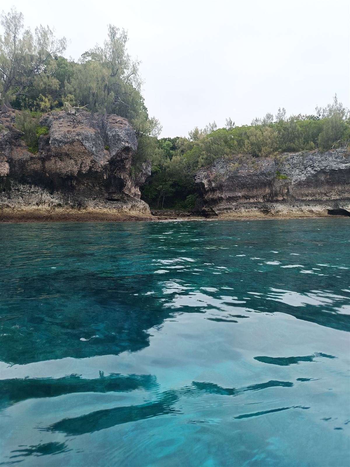 Undercut limestone sea cliffs above turquoise water on the back of Moso