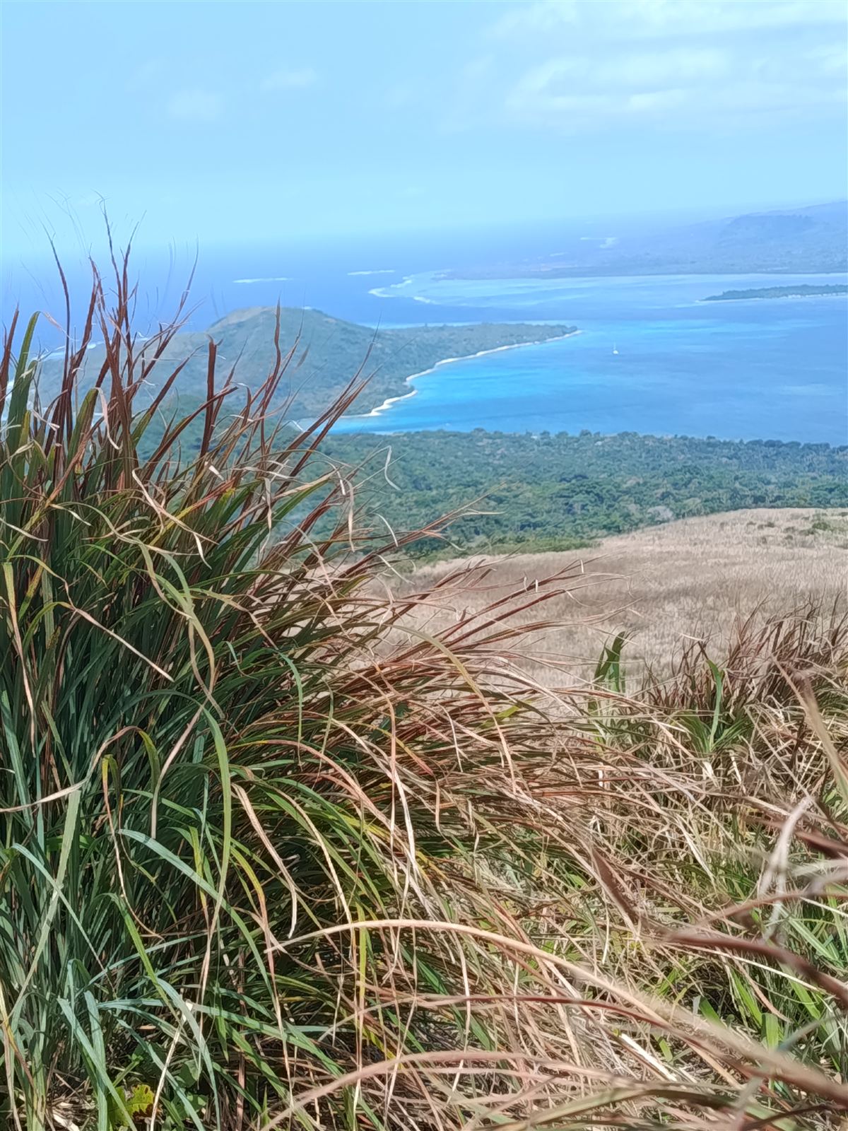 View from the summit of Nguna over forest and bright blue lagoon