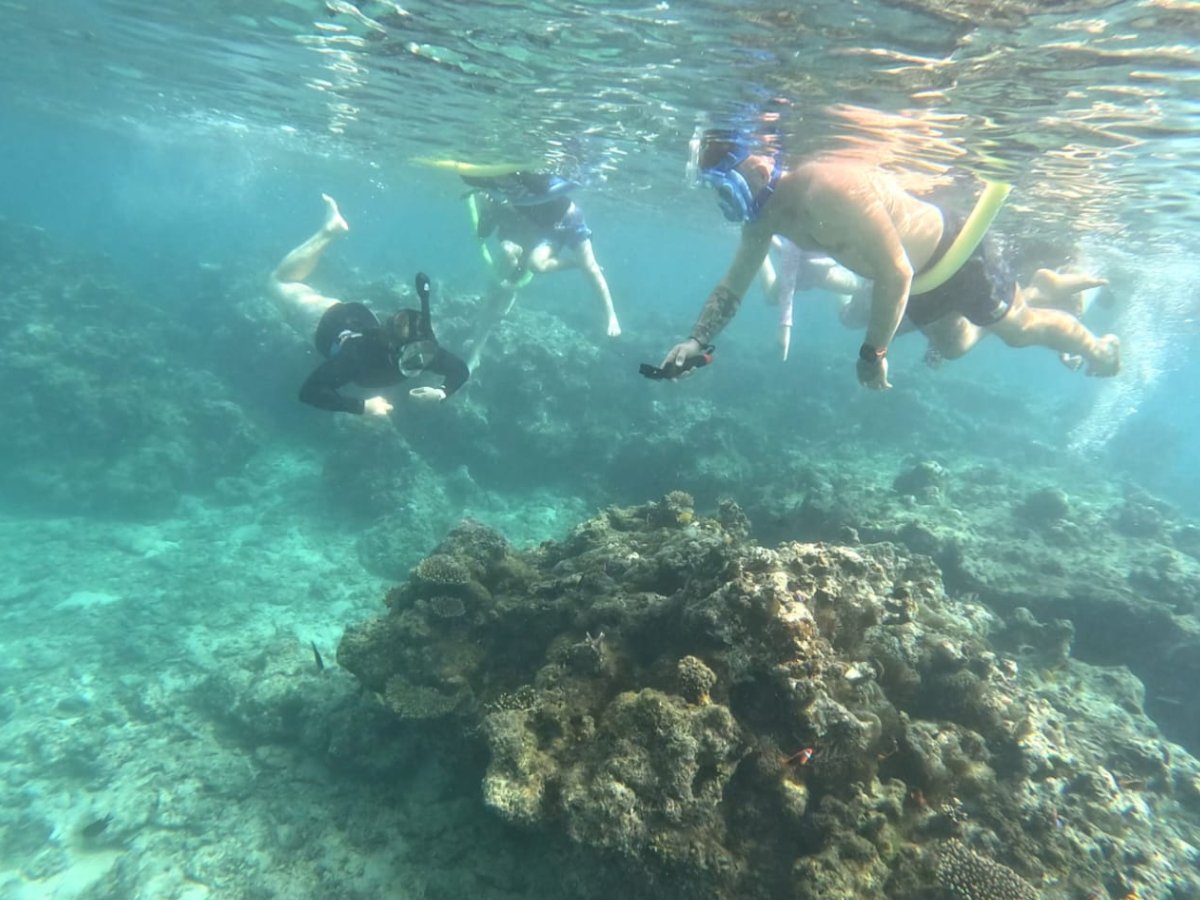 Group snorkelling over coral reef at Paradise Cove