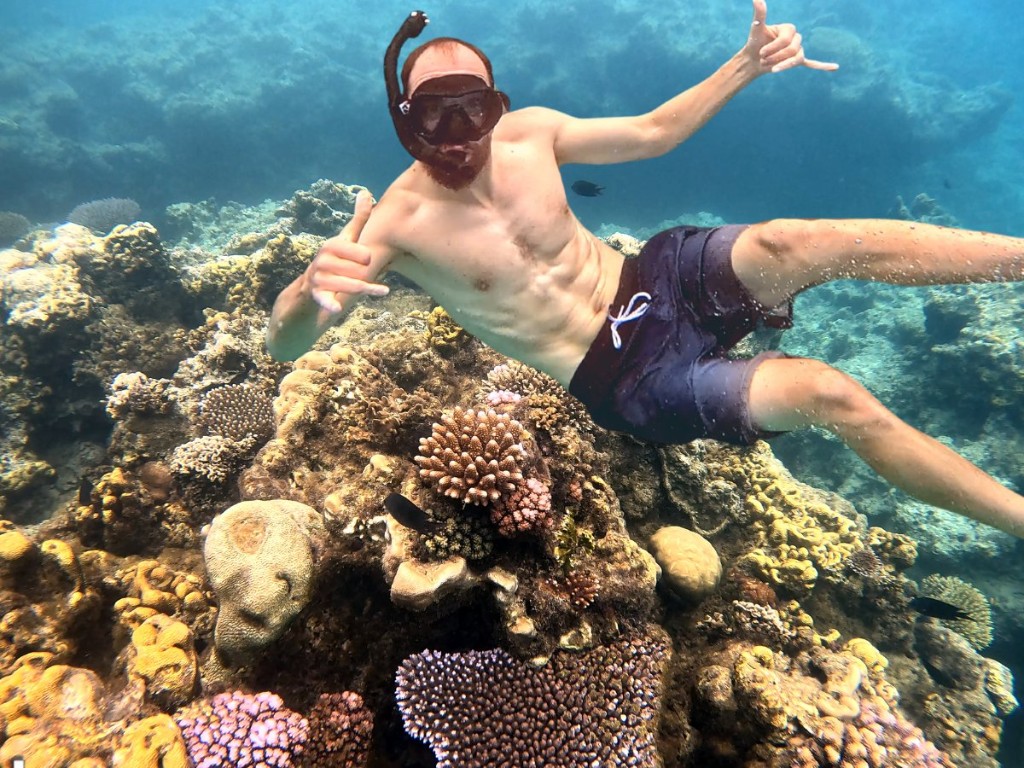 Snorkeller over colourful coral gardens at Paradise Cove