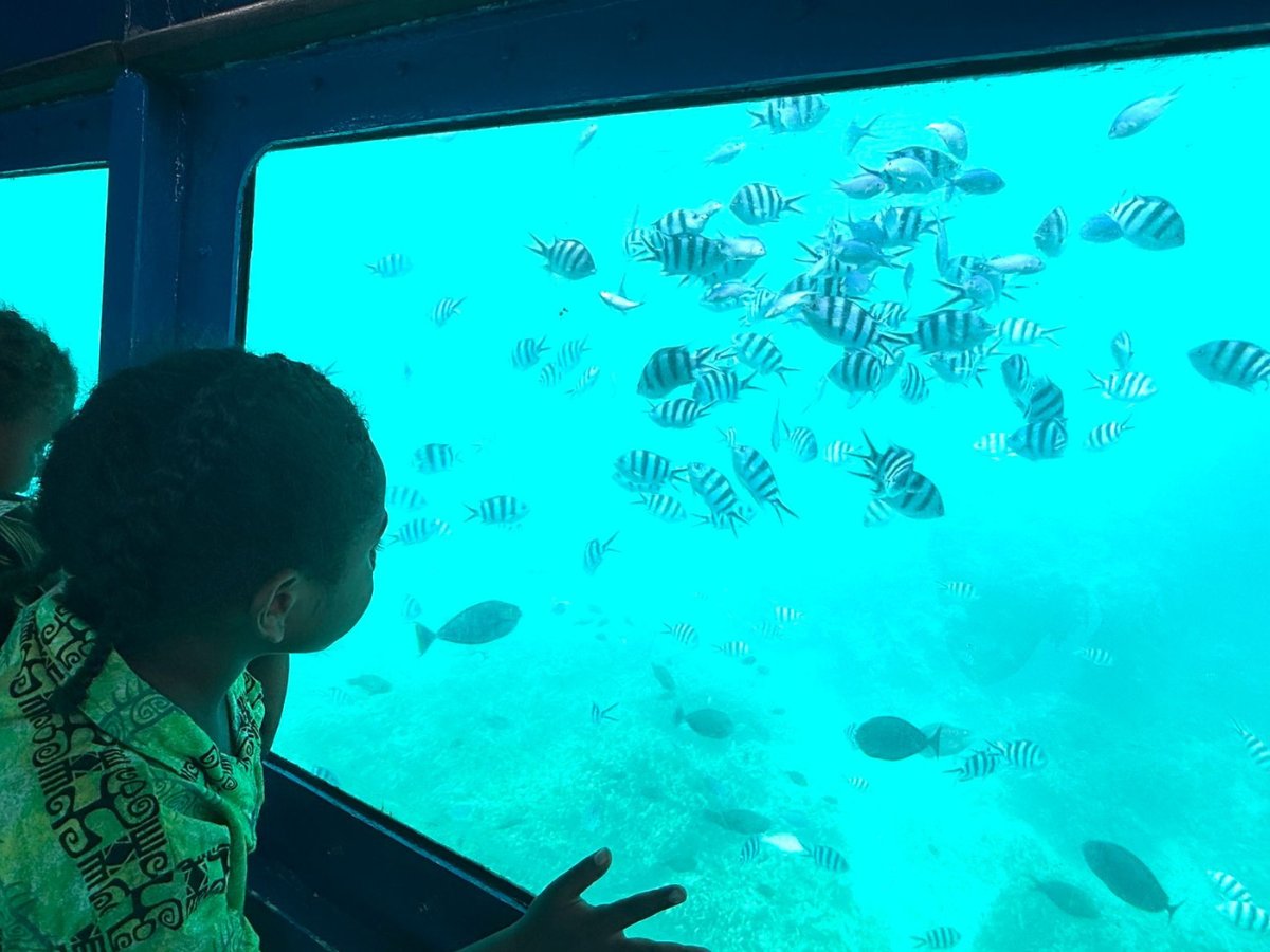 Child watching tropical fish through the Reef Explorer viewing window